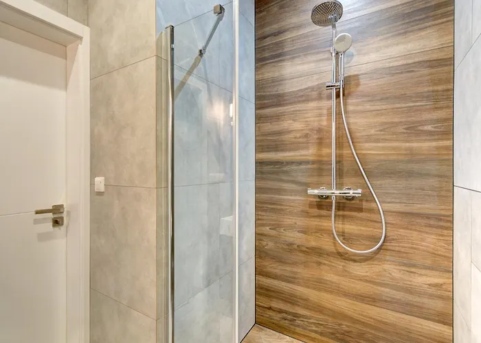 Dom & House Szafarnia Modern On The Motlawa River Apart Otel 2*