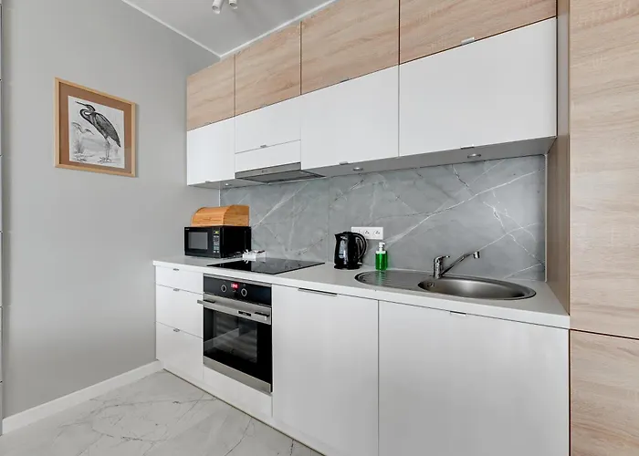 Dom & House Szafarnia Modern On The Motlawa River 2*